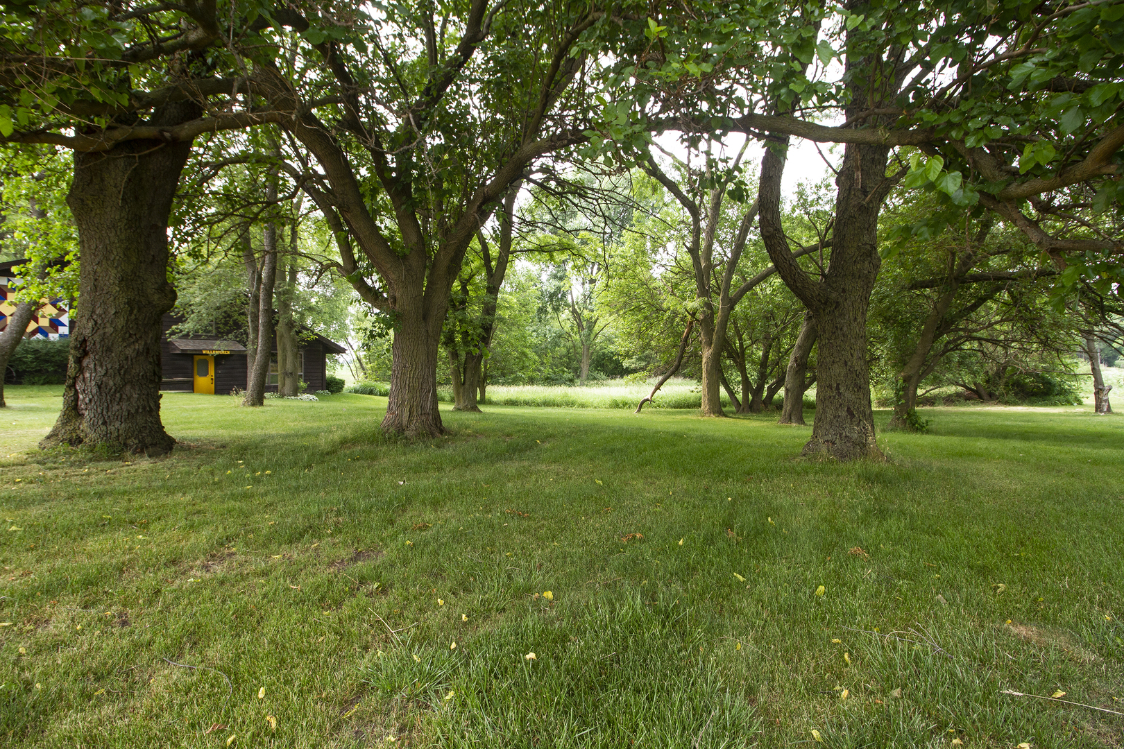 32444 Wilton Road Manhattan, IL 60442 - Photo 3 of 28 a huge green field with lots of trees
