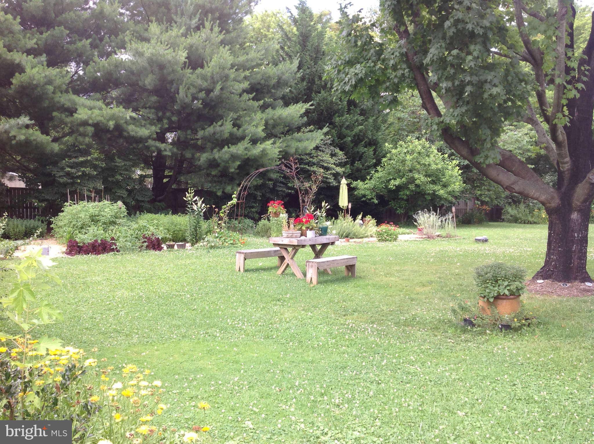 38925 Ridge Court Hamilton, VA 20158 - Photo 14 of 16 Garden Area