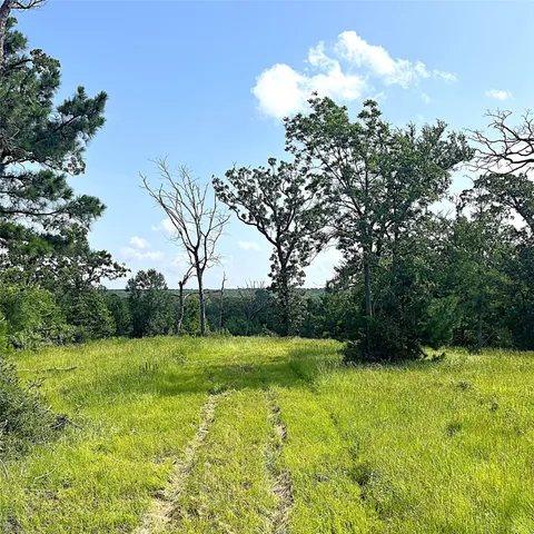 a view of a big yard