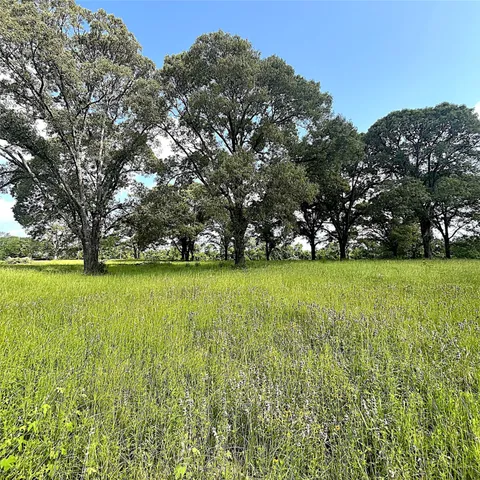 a view of yard with green space
