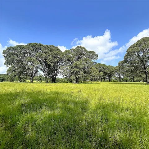a view of yard with grass and trees