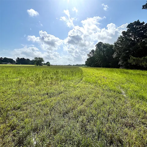 a view of a big yard with lots of green space