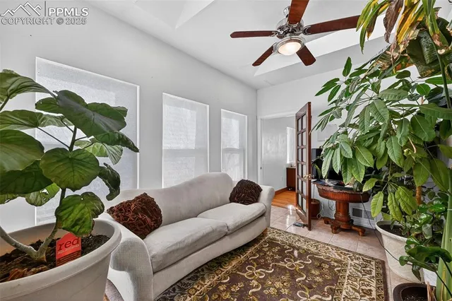 a living room with furniture and a potted plant