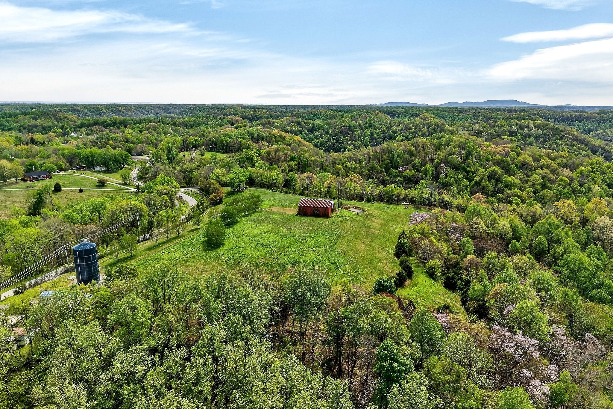 5175 Dale Ridge Road Liberty, TN 37095 - Photo 52 of 69 a view of a green field with lots of bushes