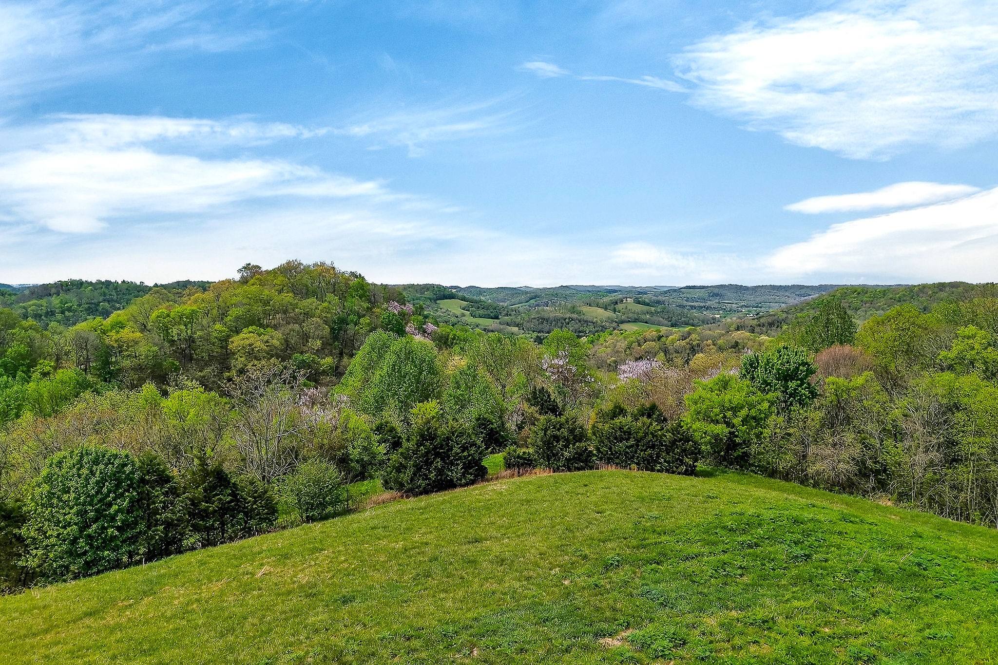 5175 Dale Ridge Road Liberty, TN 37095 - Photo 54 of 69 a view of a big yard with lots of green space