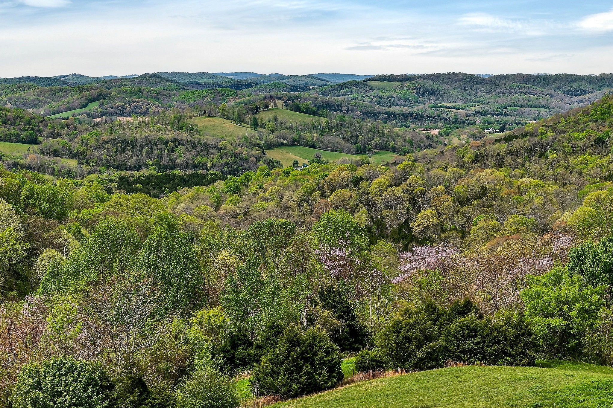 5175 Dale Ridge Road Liberty, TN 37095 - Photo 56 of 69 a view of a green field with lots of bushes