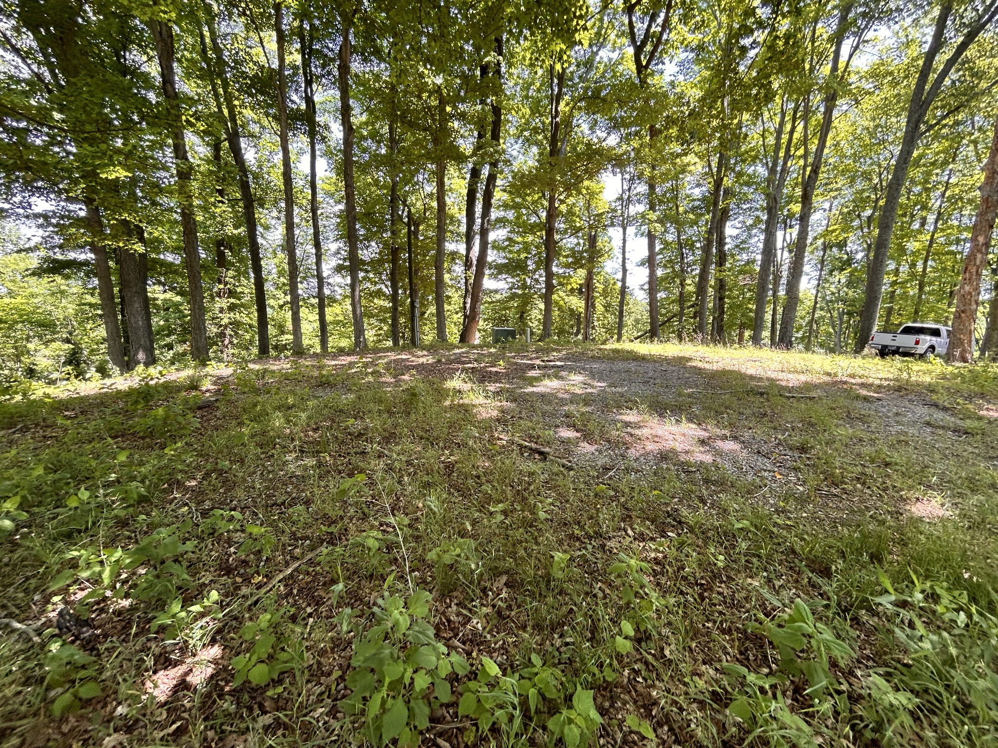 5175 Dale Ridge Road Liberty, TN 37095 - Photo 62 of 69