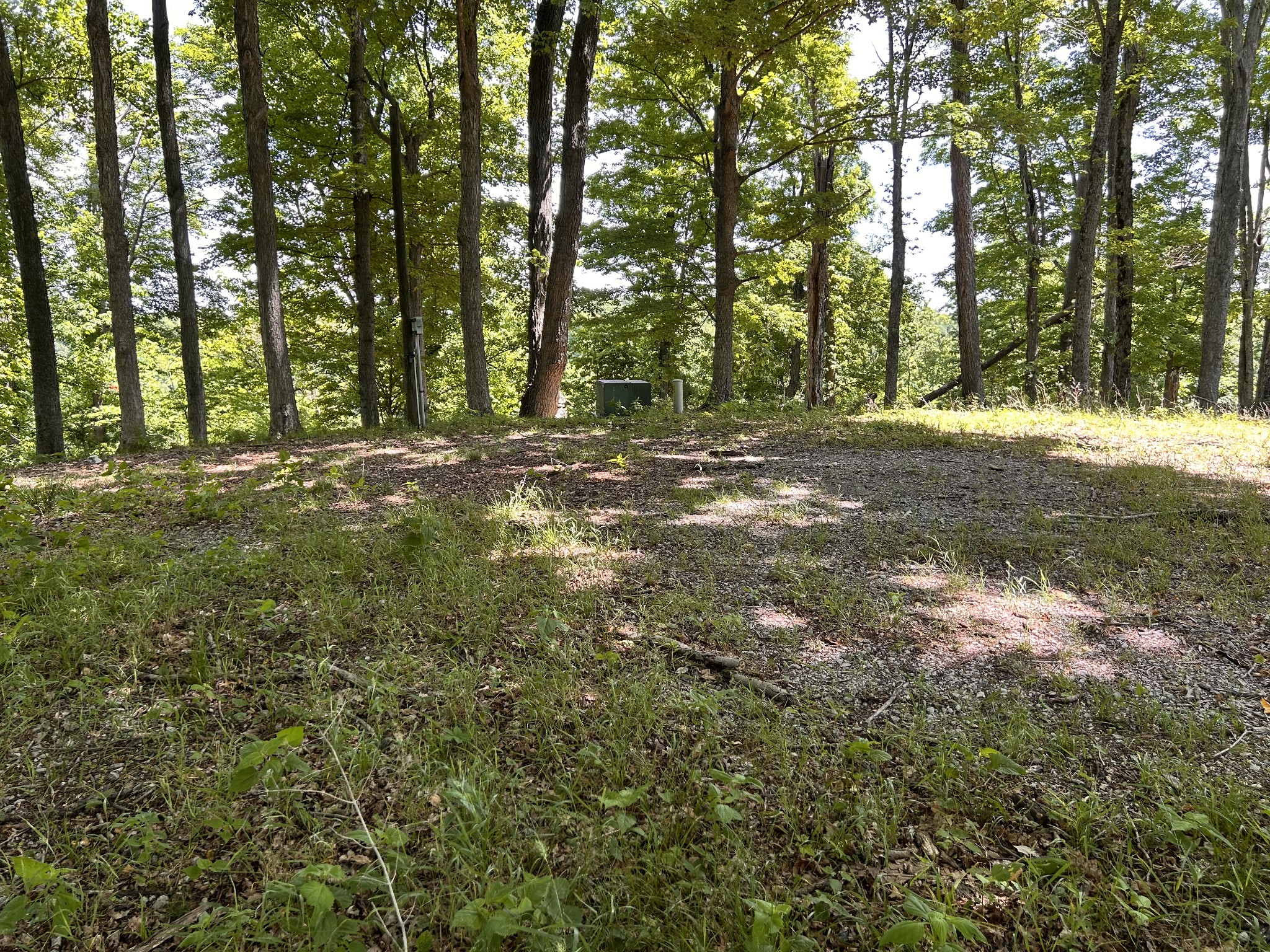5175 Dale Ridge Road Liberty, TN 37095 - Photo 63 of 69 a view of outdoor space with trees