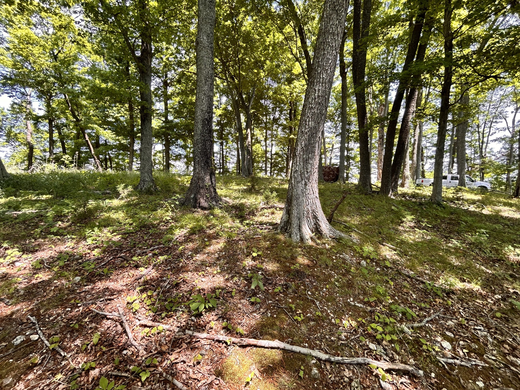 5175 Dale Ridge Road Liberty, TN 37095 - Photo 65 of 69