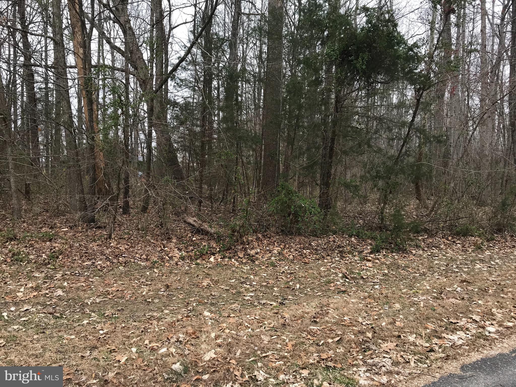 Old Dickersons Road Orange, VA 22960 - Photo 3 of 4 Gallery Image 3