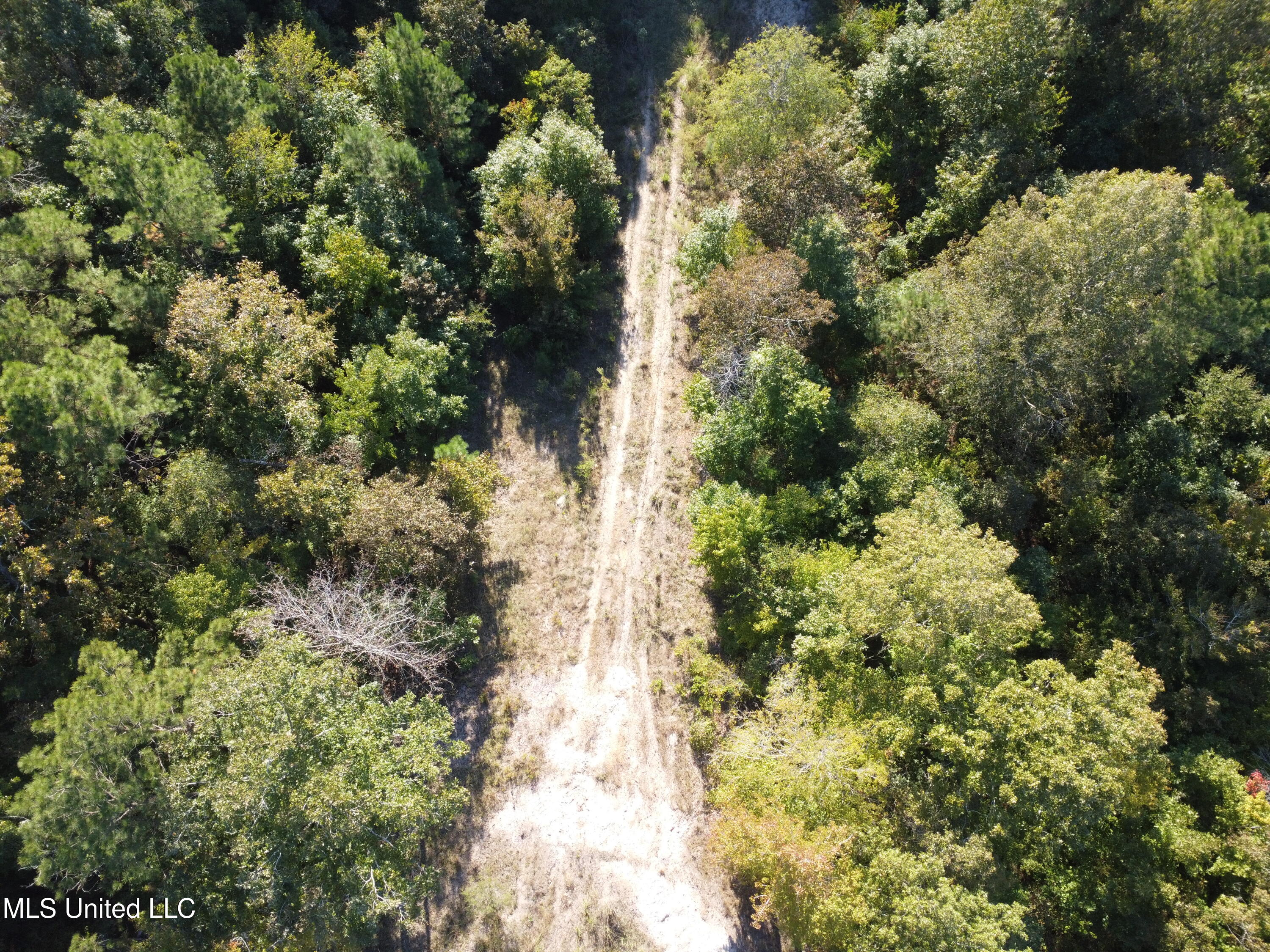 214 Cannaday Road Harrisonburg, LA 71340 - Photo 14 of 16 DJI_0065