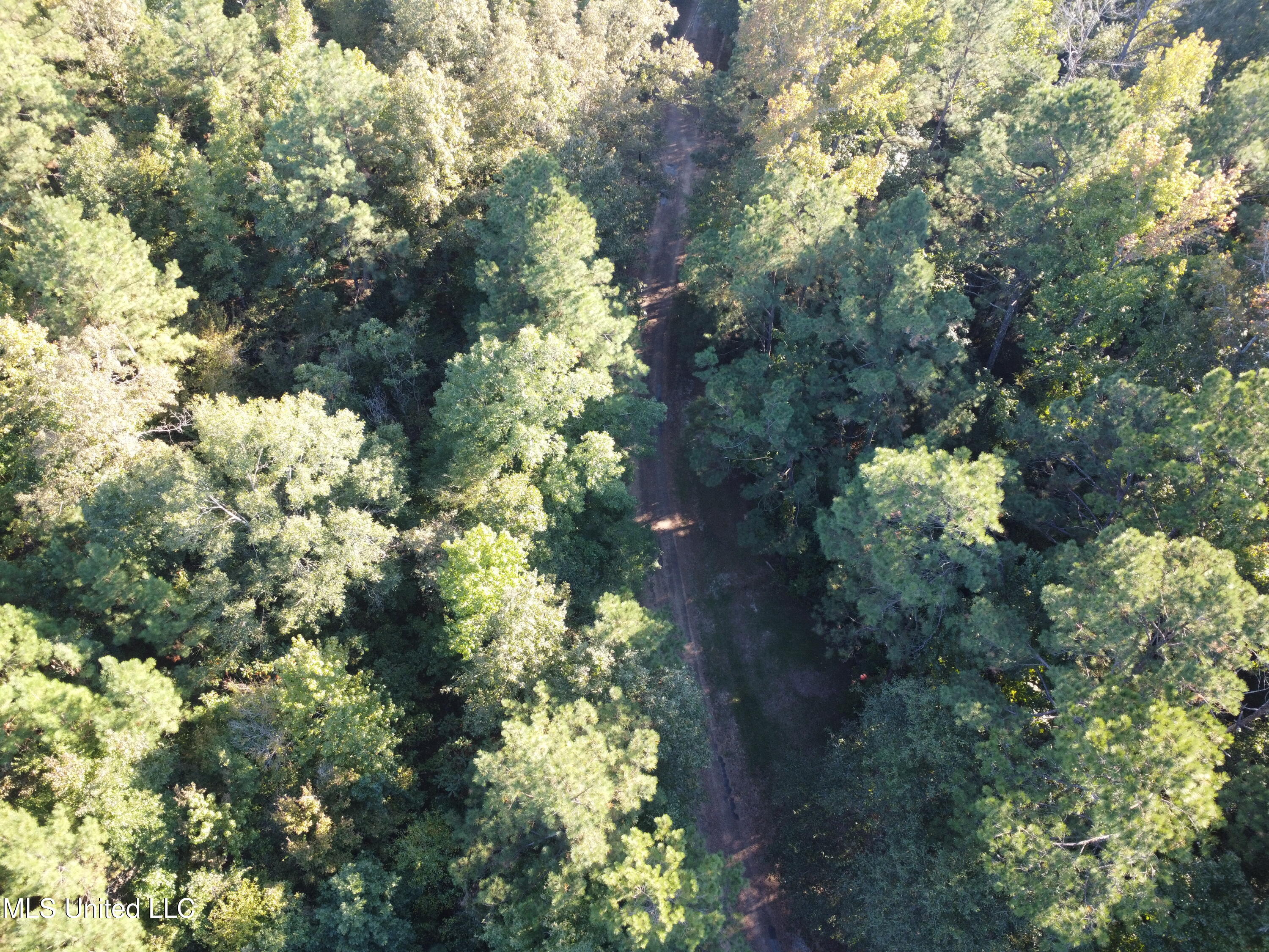 214 Cannaday Road Harrisonburg, LA 71340 - Photo 15 of 16 DJI_0066