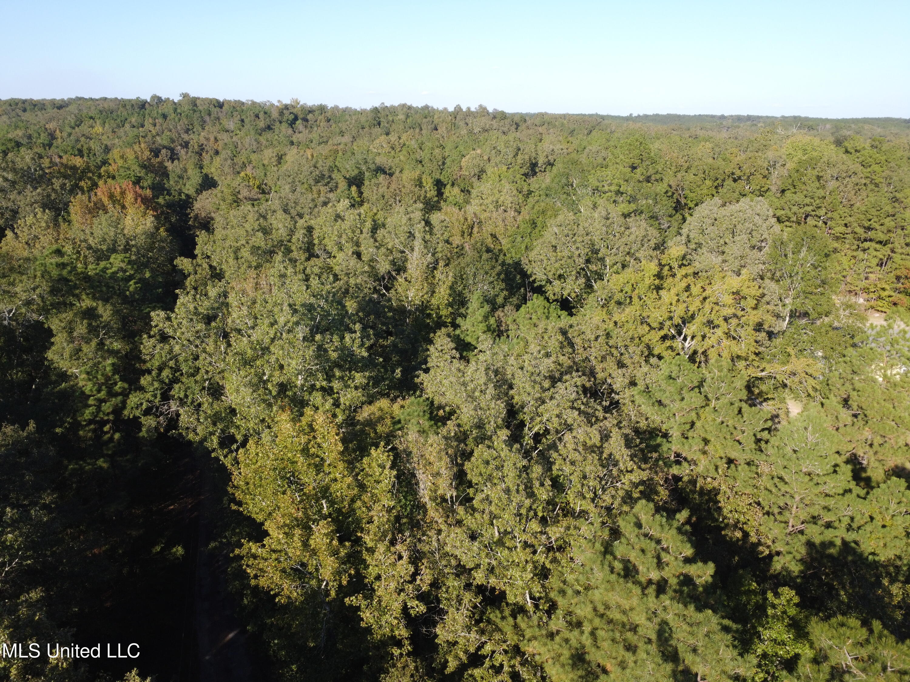 214 Cannaday Road Harrisonburg, LA 71340 - Photo 16 of 16 DJI_0067