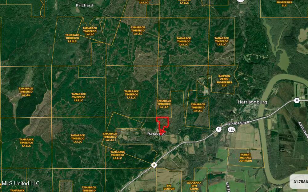 214 Cannaday Road Harrisonburg, LA 71340 - Photo 2 of 16 Screen Shot 2025-10-13 at 2.38.44 PM