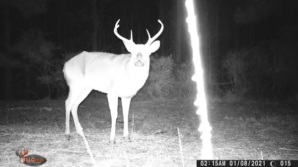 $117,000 | 214 Cannaday Road, Harrisonburg, LA 71340