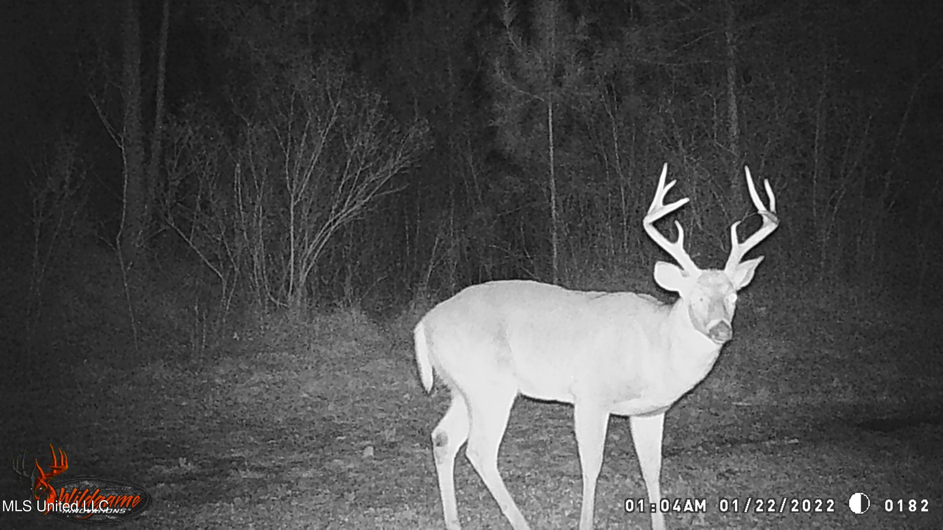 214 Cannaday Road Harrisonburg, LA 71340 - Photo 5 of 16 IMG_6868