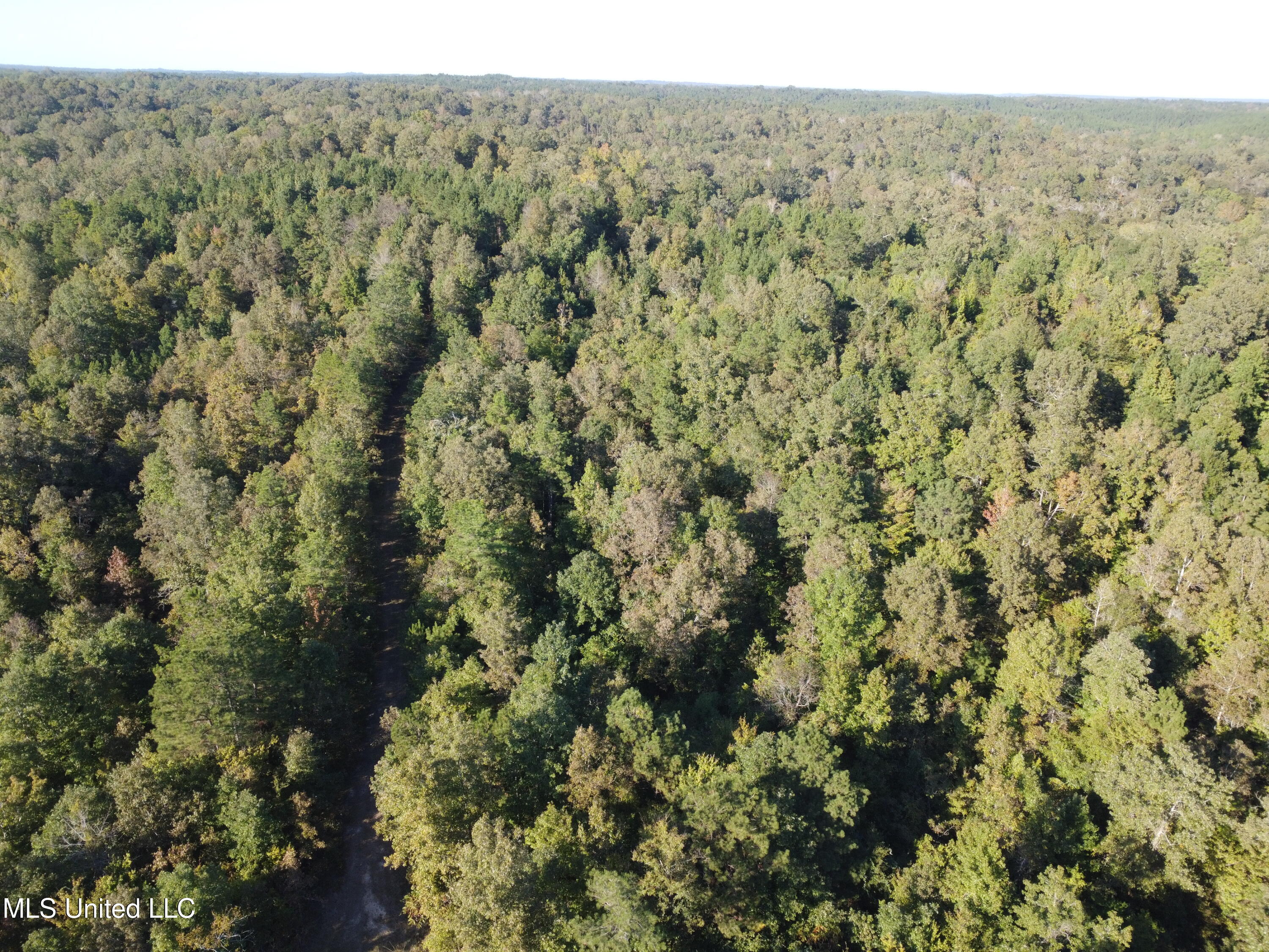 214 Cannaday Road Harrisonburg, LA 71340 - Photo 9 of 16 DJI_0059