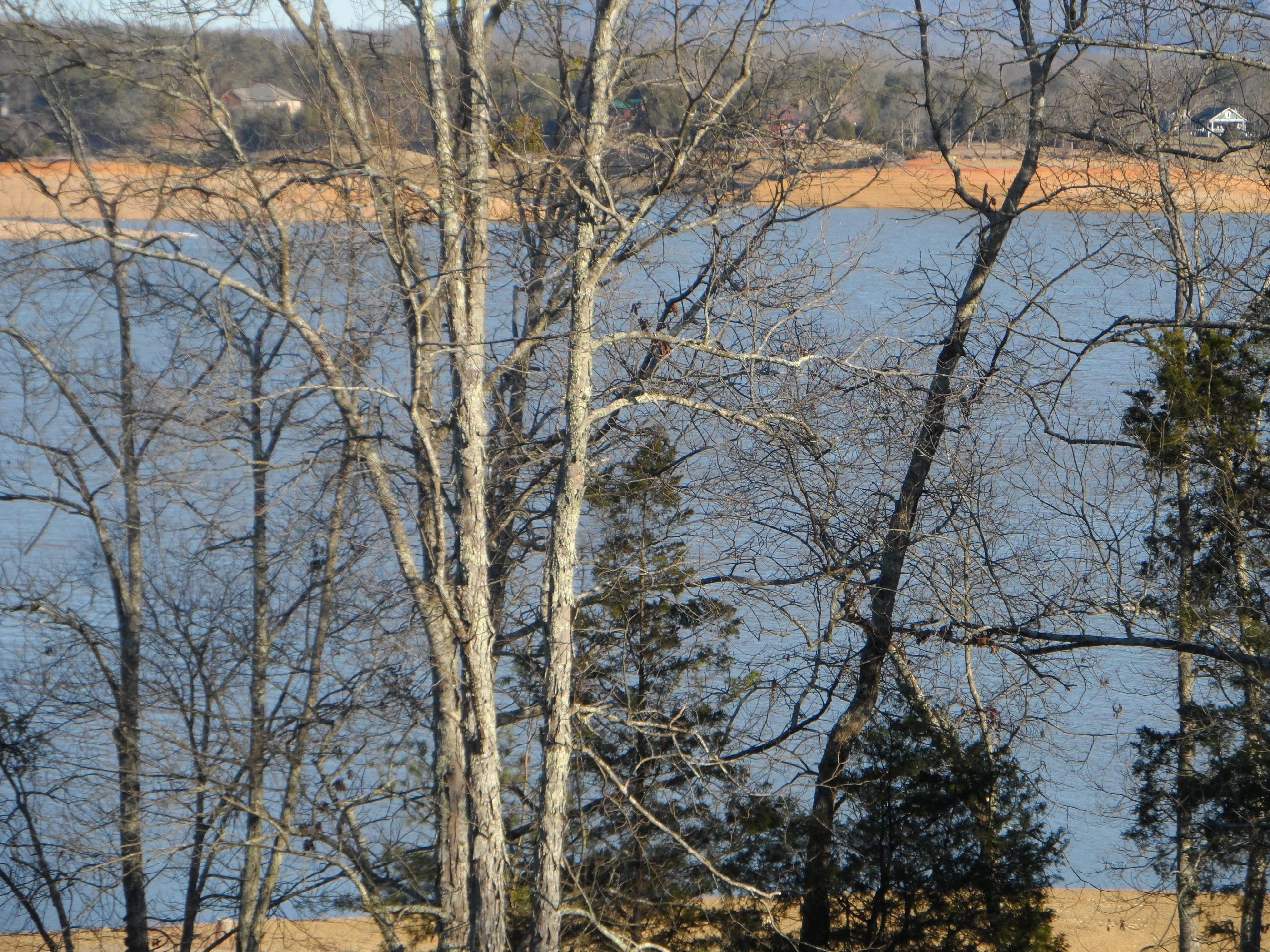 Lot 42 Island View Road Sevierville, TN 37876 - Photo 22 of 25 pic jan 2014 528
