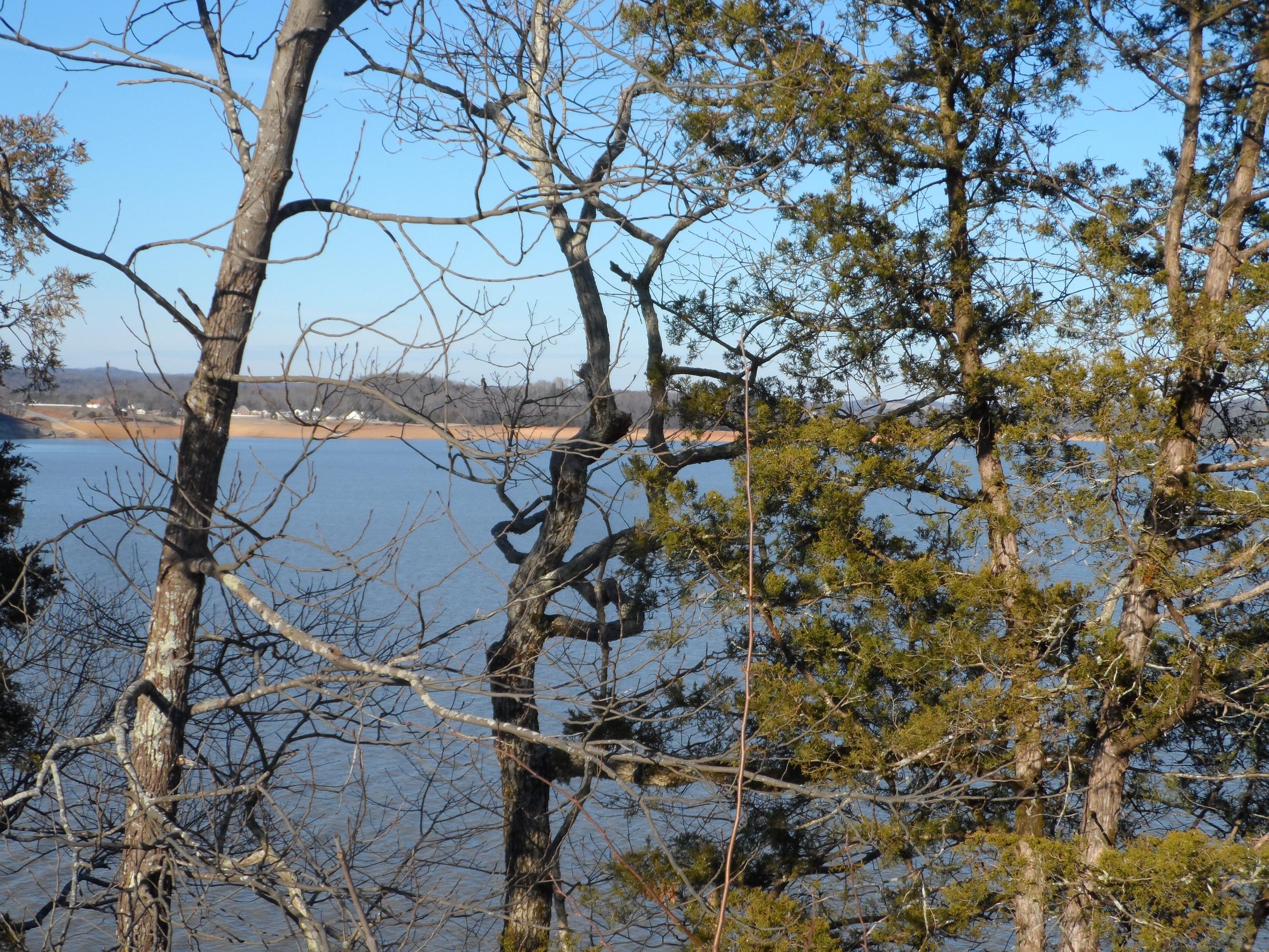 Lot 42 Island View Road Sevierville, TN 37876 - Photo 8 of 25 pic jan 2014 514