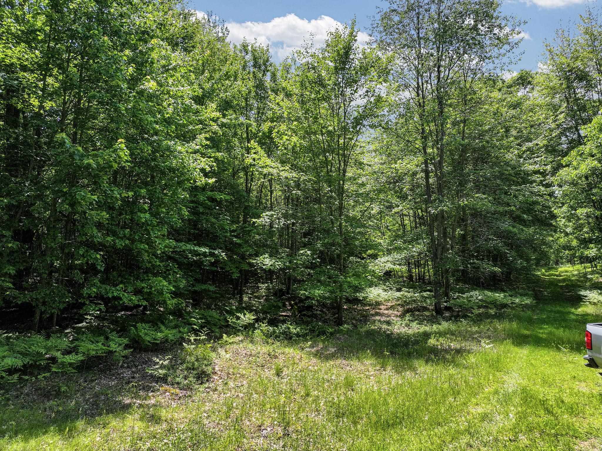 Parcel B Seeley Road Cadillac, MI 49651 - Photo 5 of 17