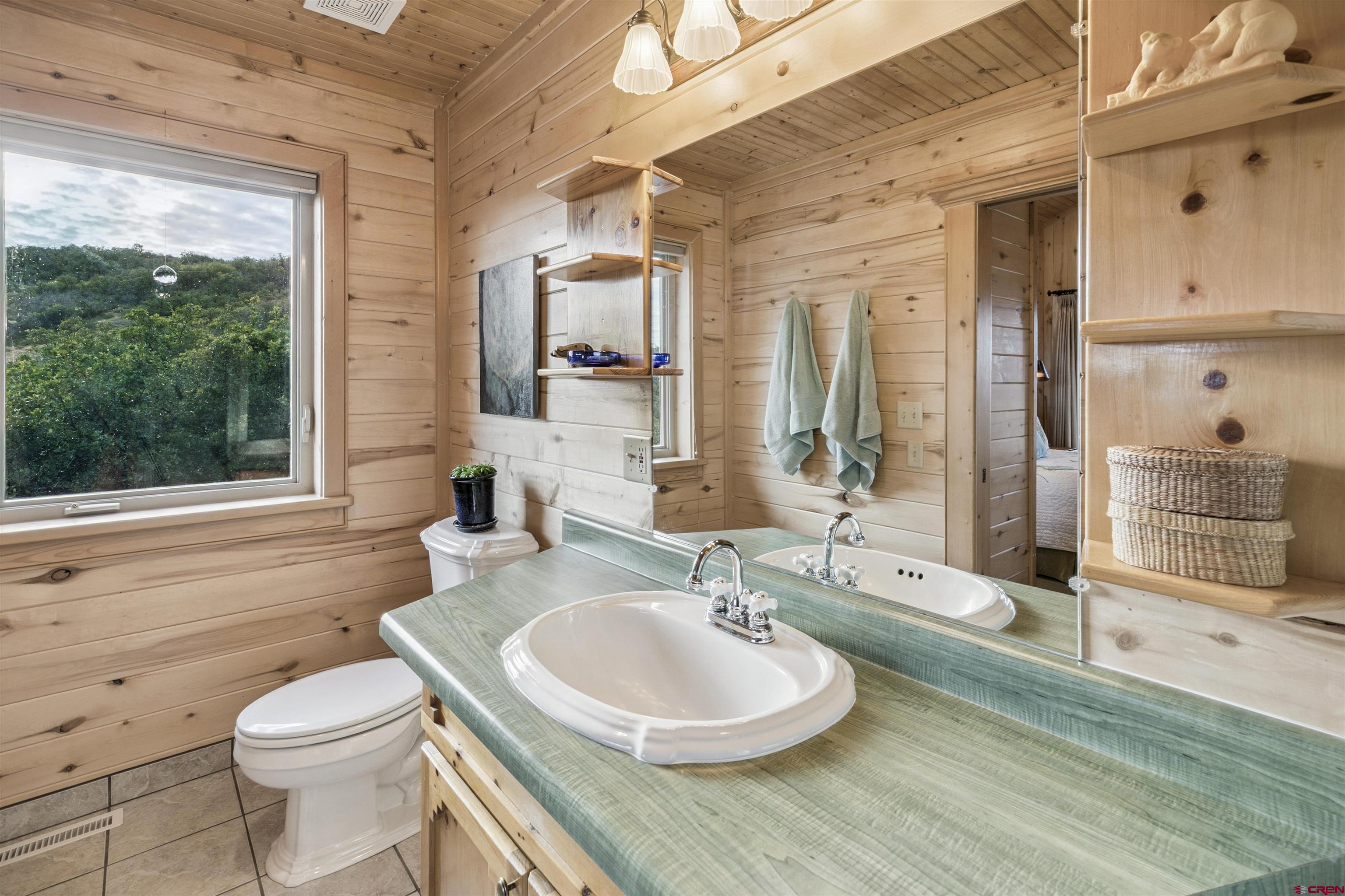 1100 Soaring Eagle Court Chromo, CO 81128 - Photo 15 of 44 a bathroom with a granite countertop sink toilet a mirror and shower