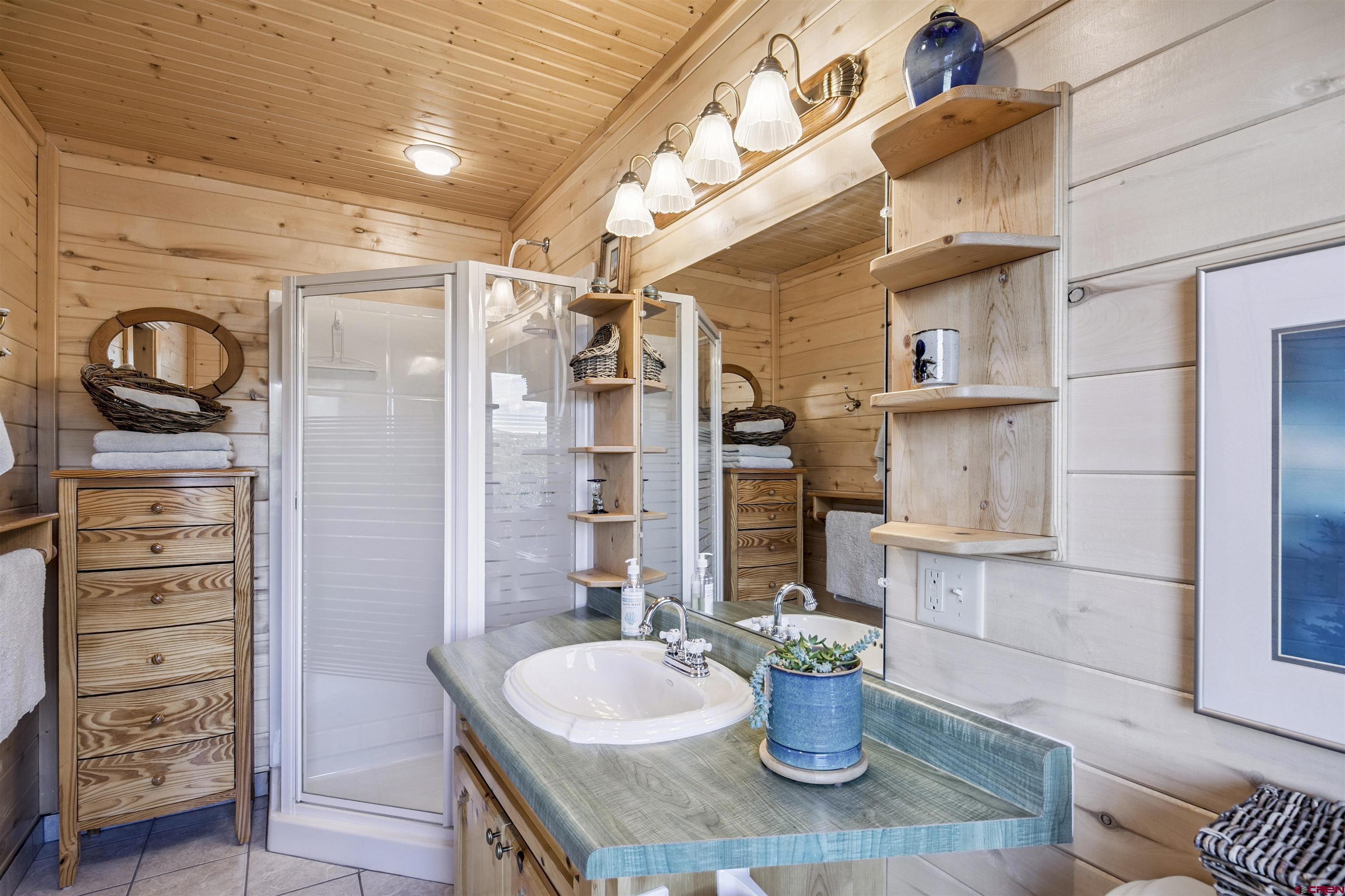 1100 Soaring Eagle Court Chromo, CO 81128 - Photo 20 of 44