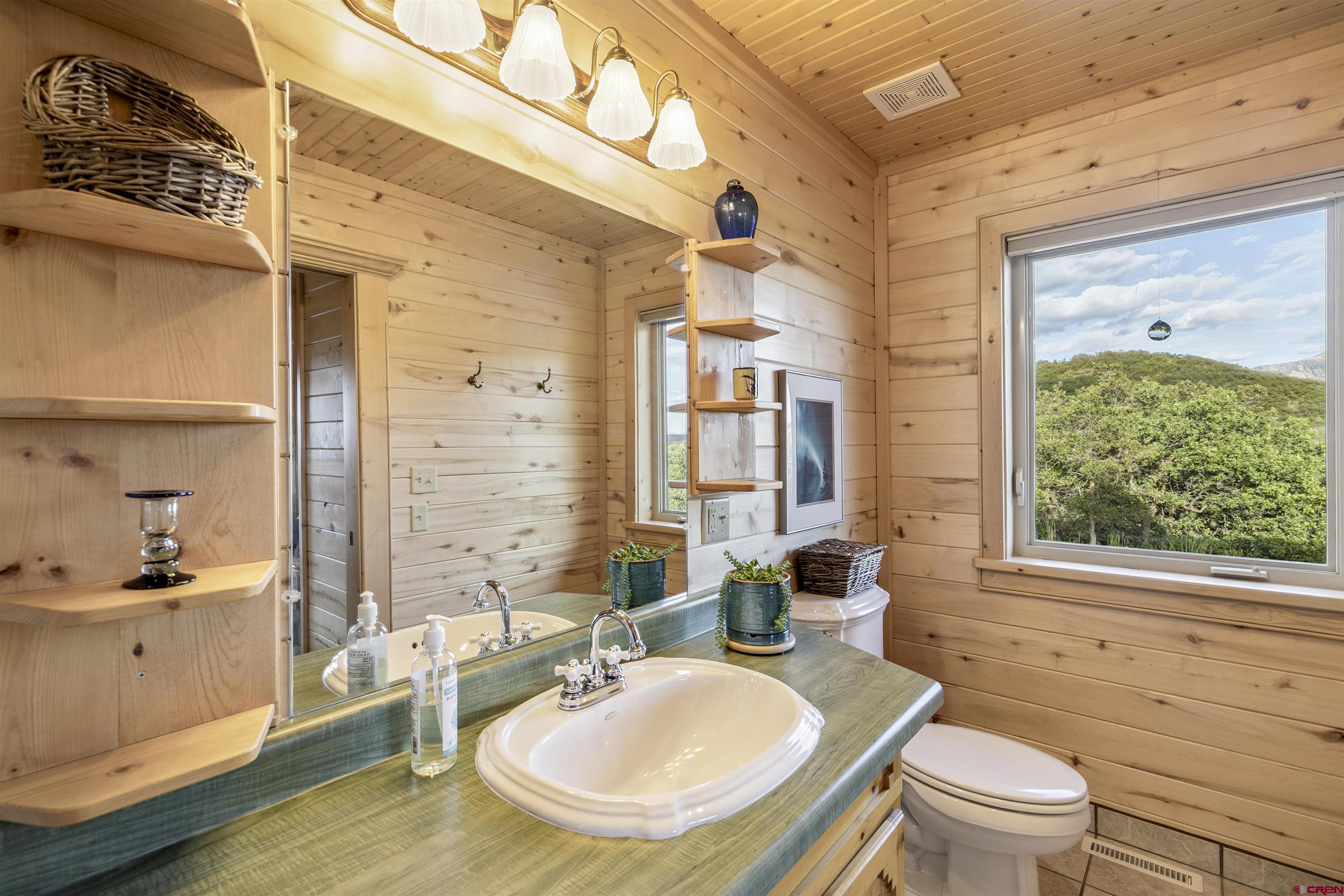 1100 Soaring Eagle Court Chromo, CO 81128 - Photo 21 of 44 a bathroom with a granite countertop sink toilet a mirror and shower