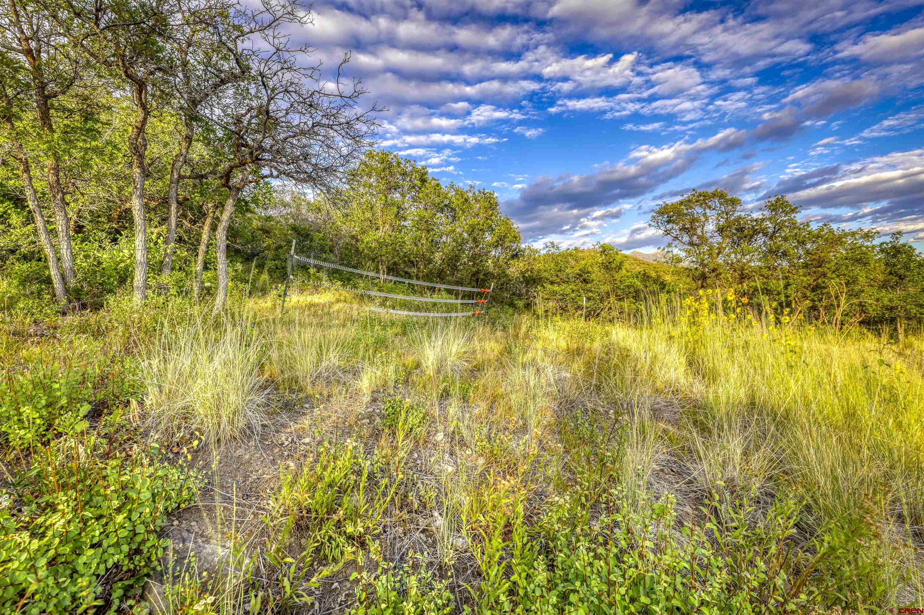 1100 Soaring Eagle Court Chromo, CO 81128 - Photo 40 of 44