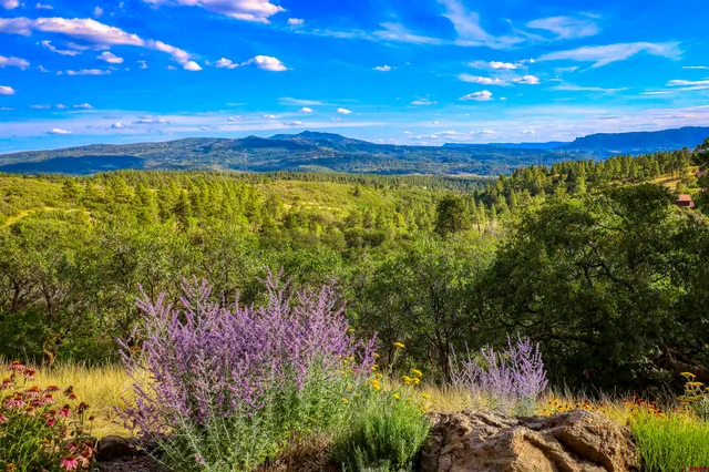 $1,190,000 | 1100 Soaring Eagle Court, Chromo, CO 81128