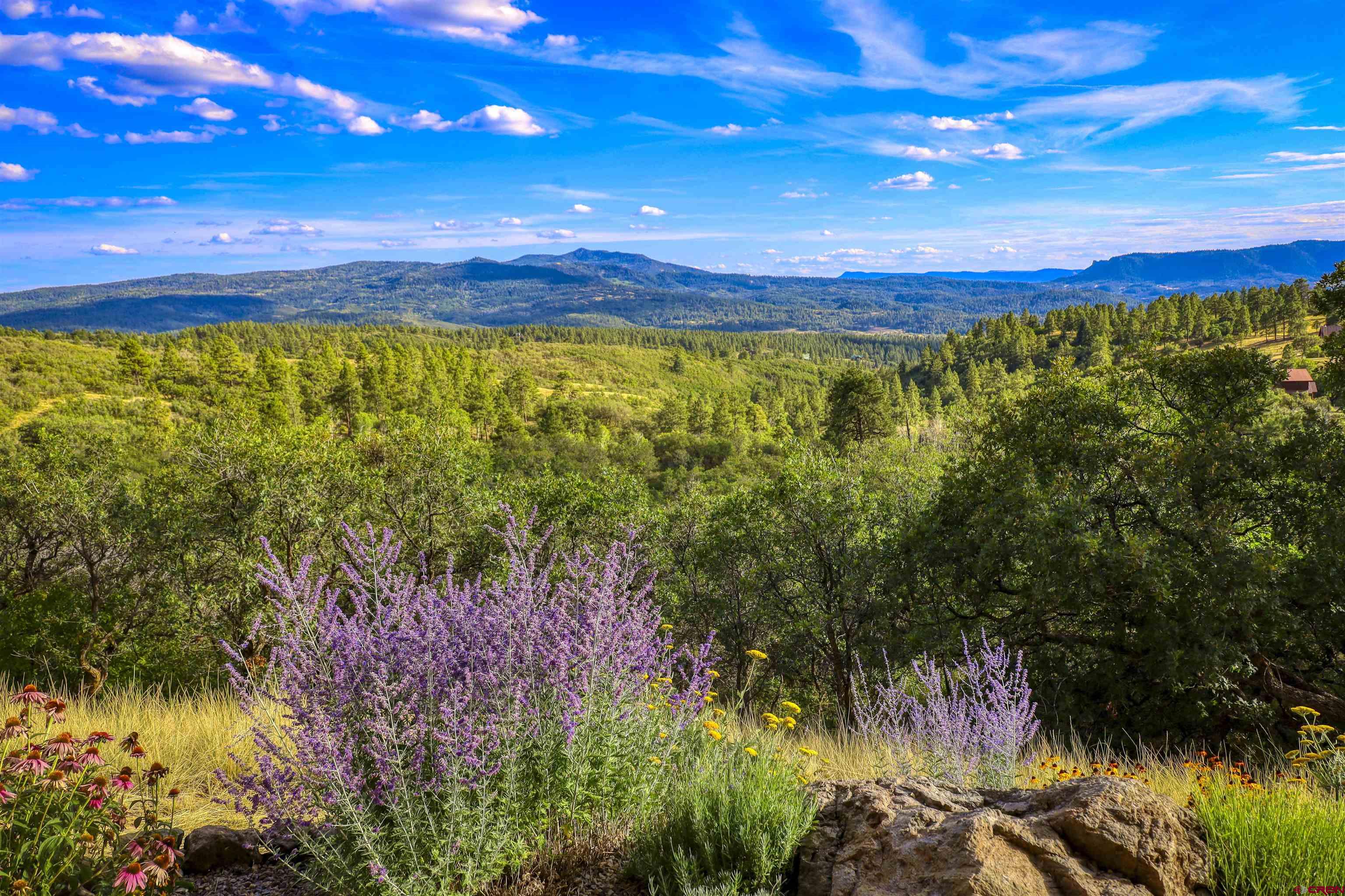 1100 Soaring Eagle Court Chromo, CO 81128 - Photo 43 of 44 a view of an outdoor space and a yard
