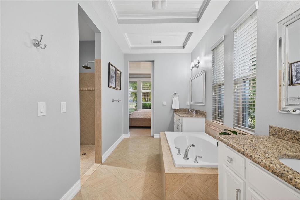 6609 Current Drive Apollo Beach, FL 33572 - Photo 20 of 47 a spacious bathroom with a granite countertop sink and a large mirror