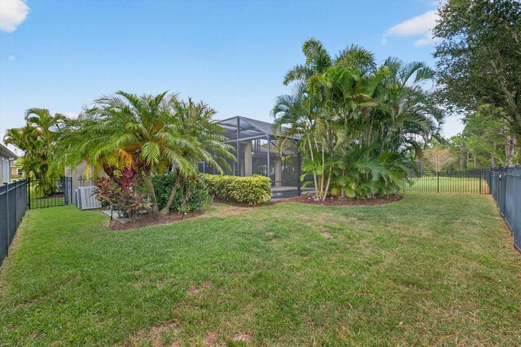 6609 Current Drive Apollo Beach, FL 33572 - Photo 42 of 47 a view of a garden with a tree