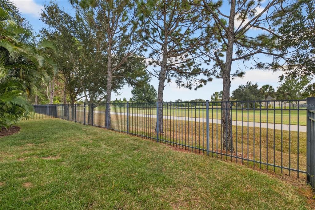 6609 Current Drive Apollo Beach, FL 33572 - Photo 44 of 47 a view of a yard with a large trees