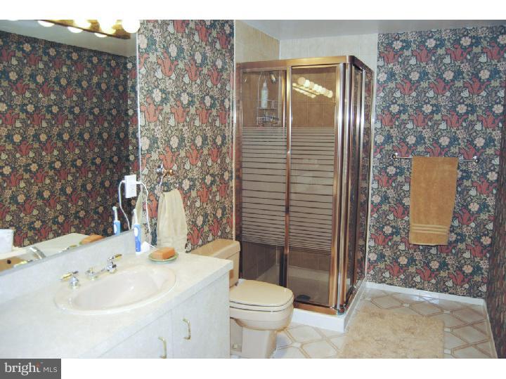 117 Merion Road Merion Station, PA 19066 - Photo 16 of 23 Bathroom