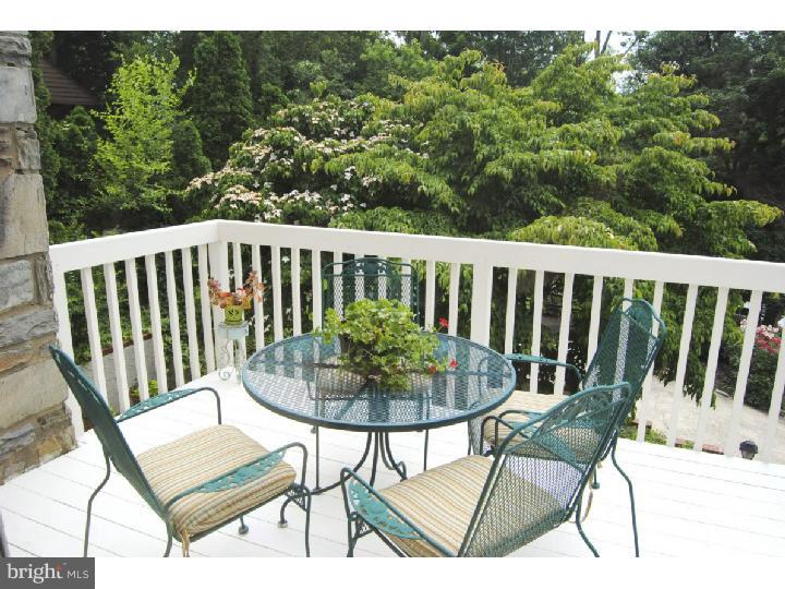 117 Merion Road Merion Station, PA 19066 - Photo 8 of 23 Deck