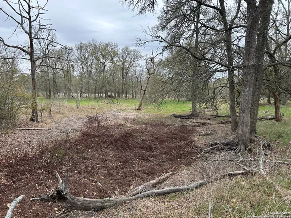 a view of outdoor space with trees