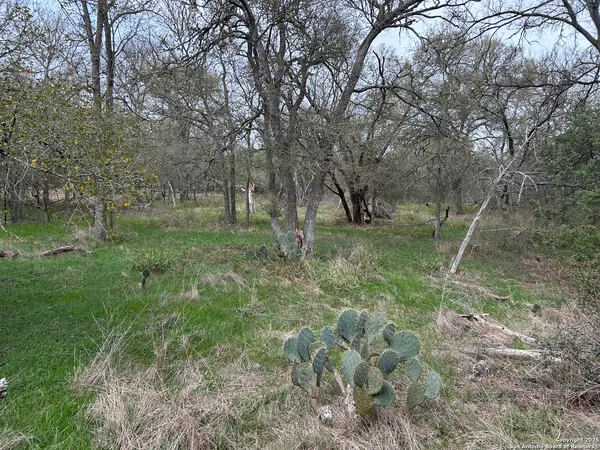 a big yard with lots of green space and deers