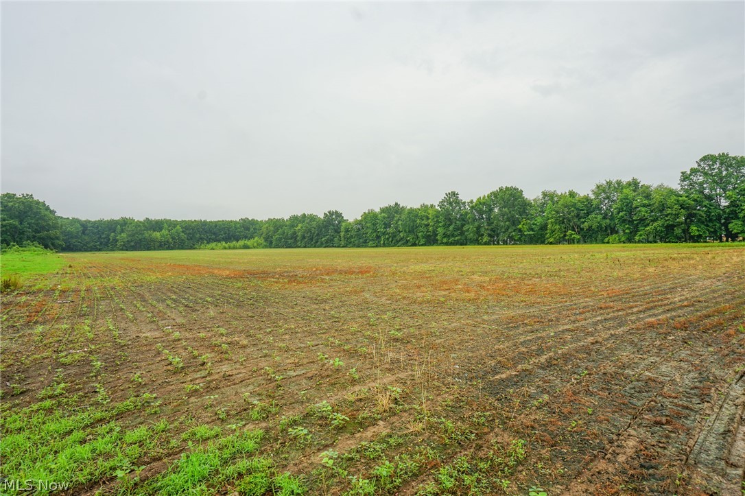 Duncanson Road Sardinia, OH 45171 - Photo 1 of 50 Gallery Image 1