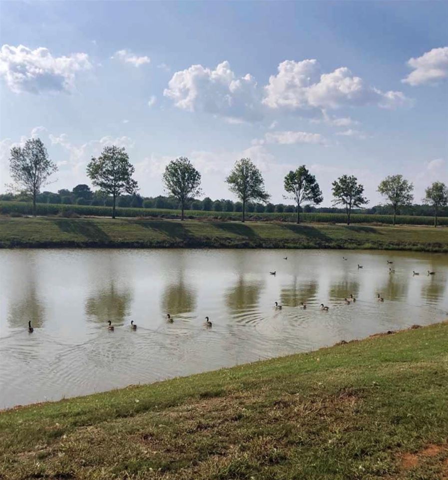 9371 Swan Point Road Daphne, AL 36526 - Photo 5 of 7
