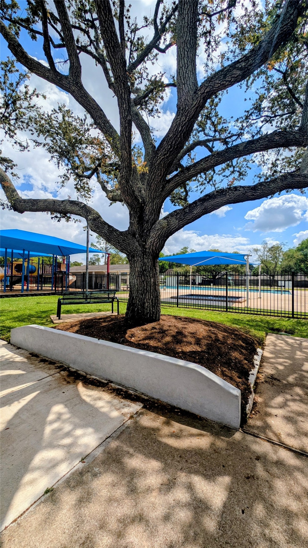 22338 Wetherburn Lane Katy, TX 77449 - Photo 27 of 36 This community is know for it's gorgeous shade trees. Sit and relax while the kids play!