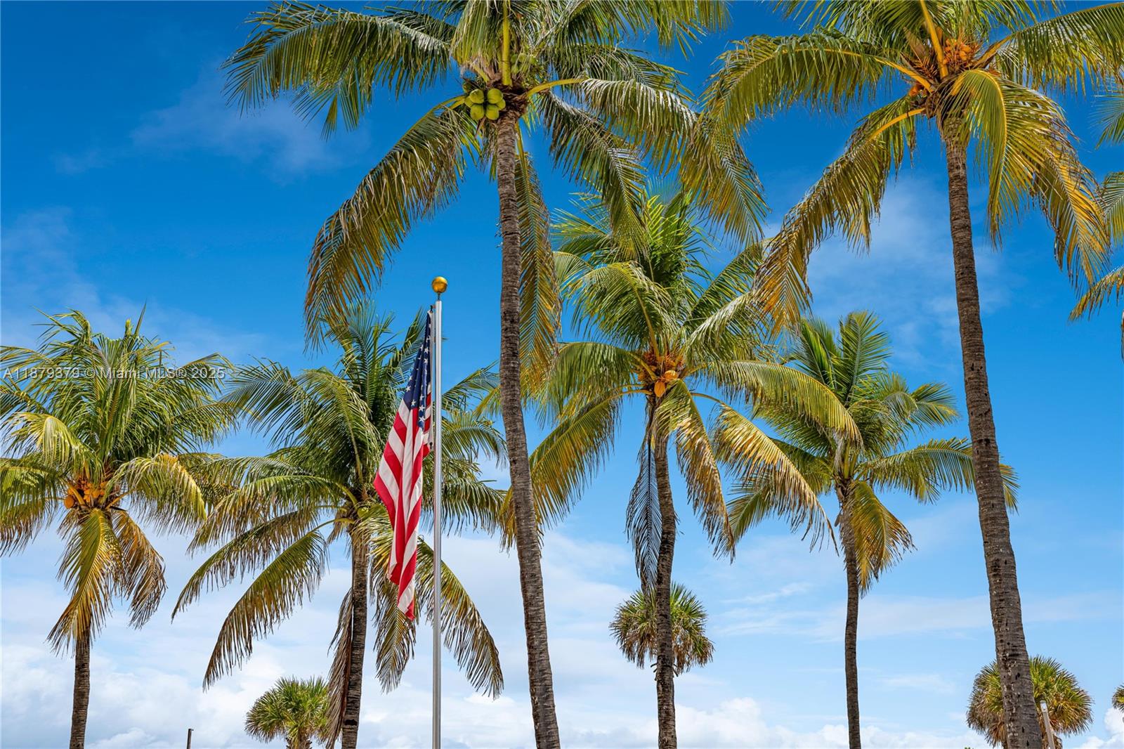 5005 Collins Avenue, Unit 616 Miami Beach, FL 33140 - Photo 47 of 51