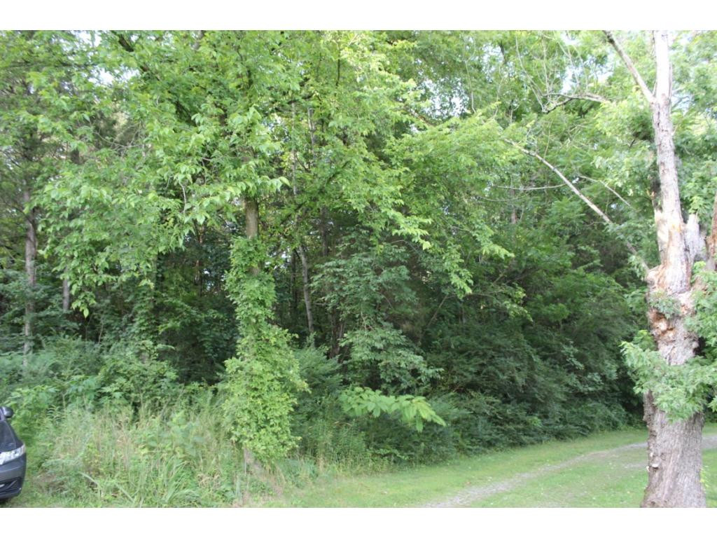 4168 Old Baileyton Road Greeneville, TN 37745 - Photo 13 of 17 Photo 13