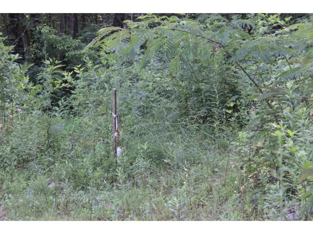 4168 Old Baileyton Road Greeneville, TN 37745 - Photo 3 of 17 Photo 3