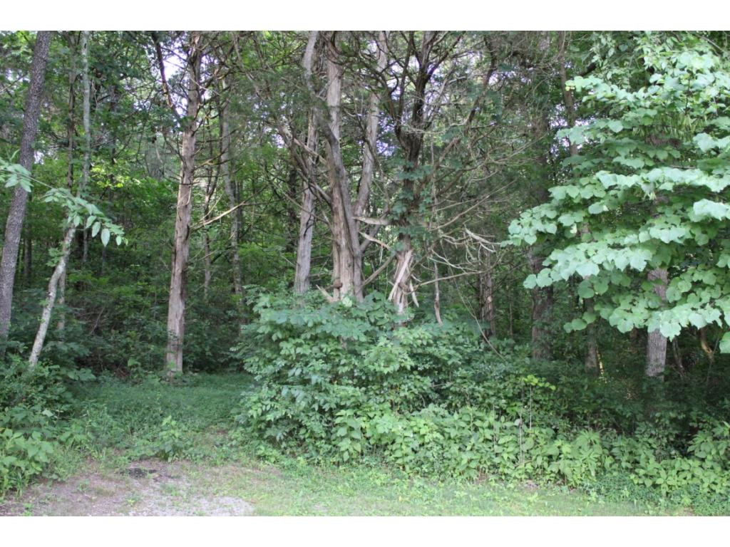 4168 Old Baileyton Road Greeneville, TN 37745 - Photo 8 of 17 Photo 8