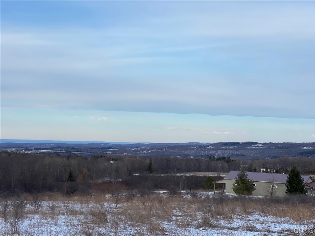 L5 Lafayette Road Jamesville, NY 13078 - Photo 8 of 9