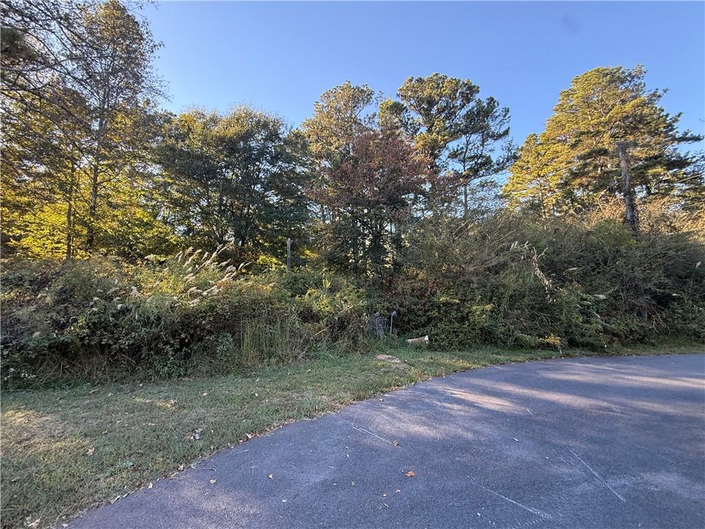 10 South Villa Road Villa Rica, GA 30180 - Photo 3 of 3