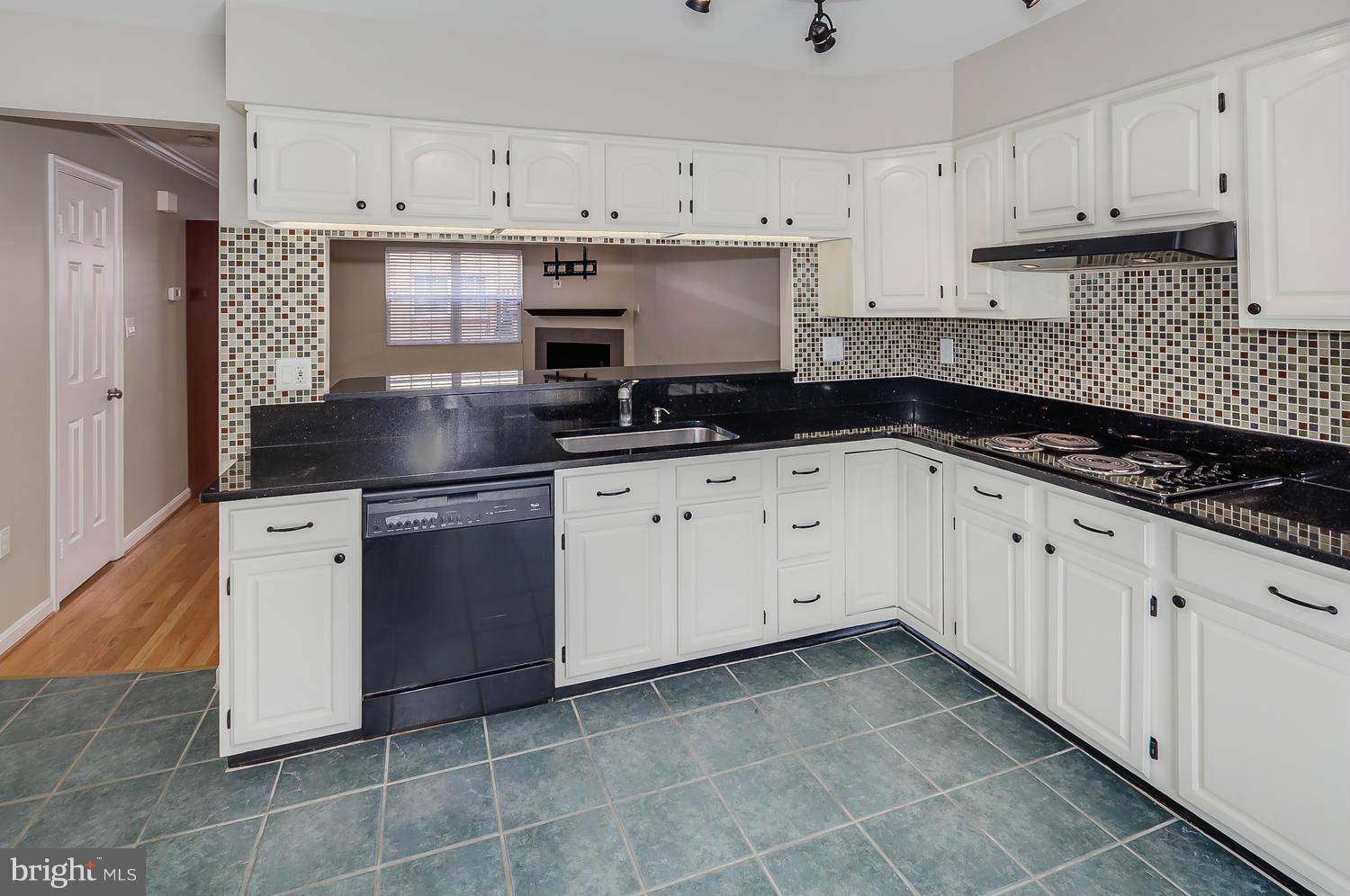 3028 South Glebe Road Arlington, VA 22206 - Photo 5 of 30 Kitchen