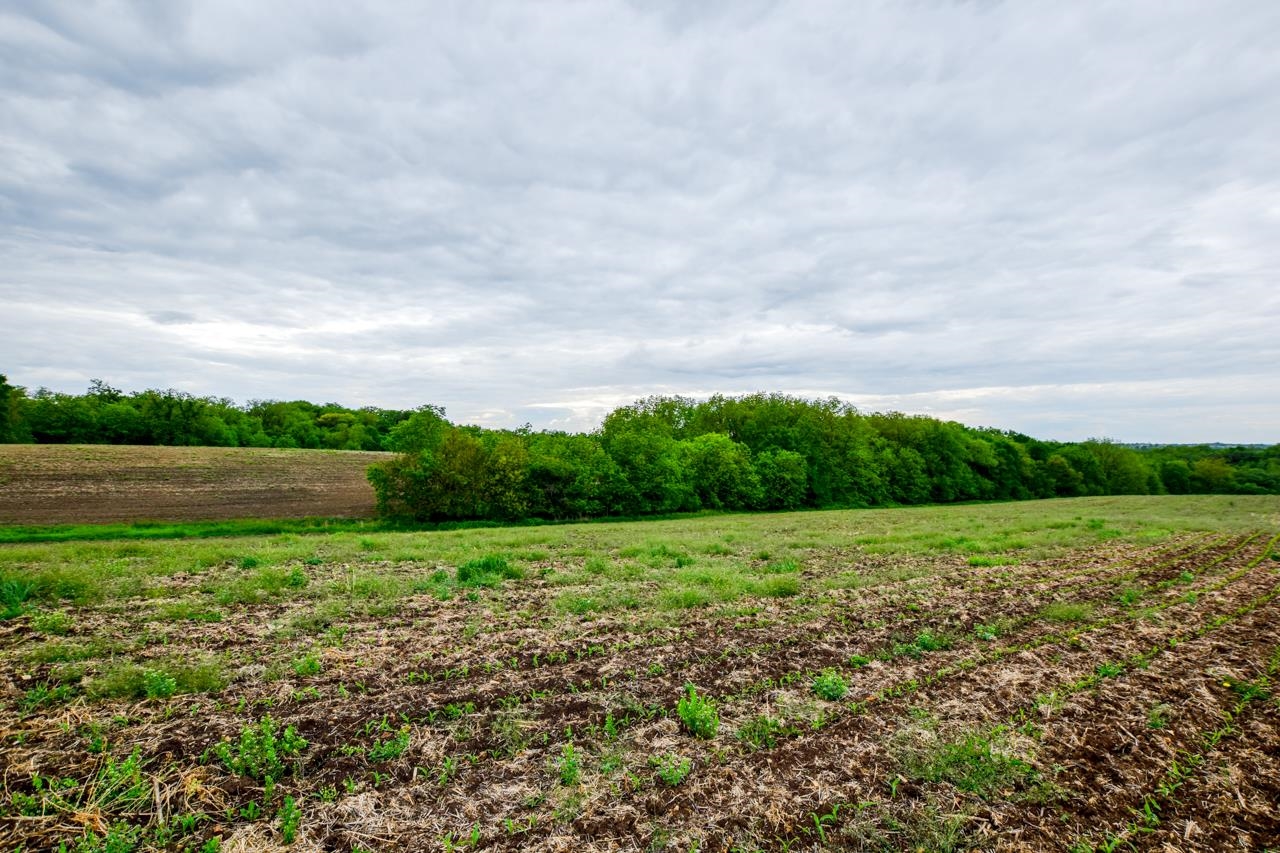 Lot 4 Dividing Ridge Monticello, WI 53570 - Photo 3 of 8 Gallery Image 3