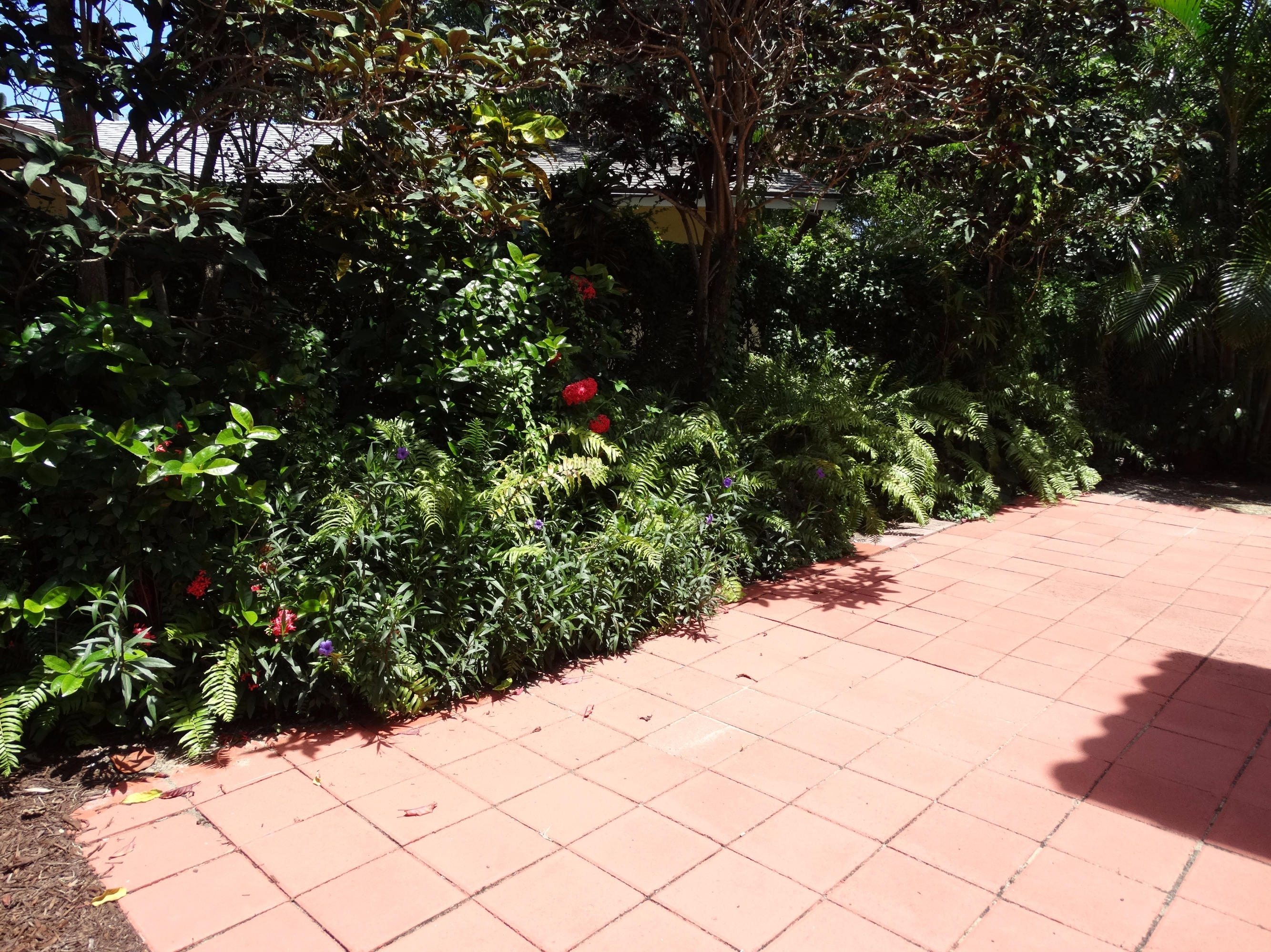 490 Neptune Road Juno Beach, FL 33408 - Photo 15 of 22 Patio Garden