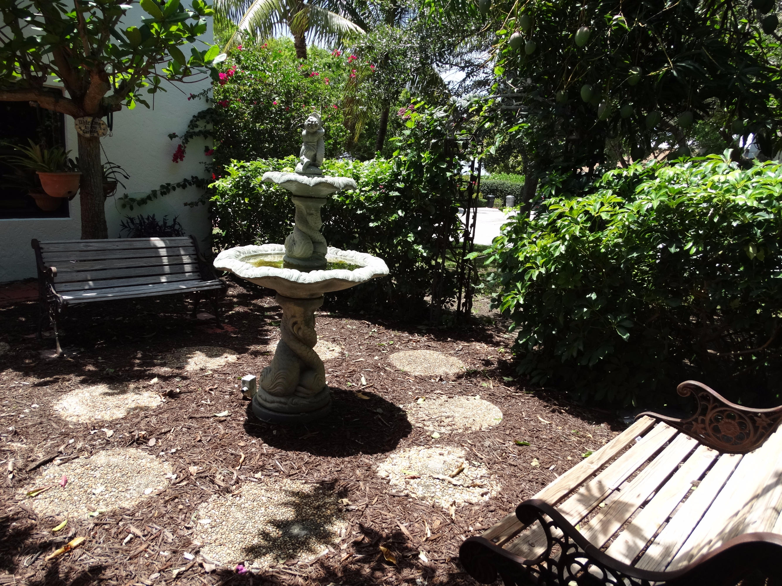 490 Neptune Road Juno Beach, FL 33408 - Photo 16 of 22 Fountain